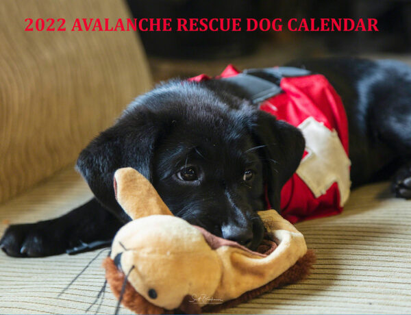 2022 Avy Dogs calendar